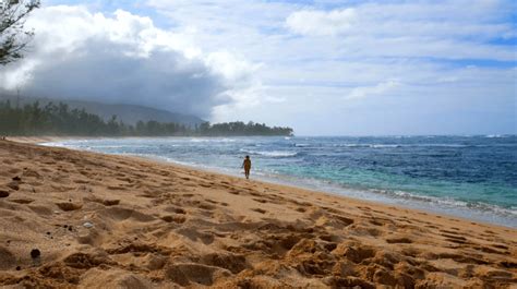 nude beaches in honolulu|Your Ultimate Guide to the Top 9 Best Nude Beaches on Oahu